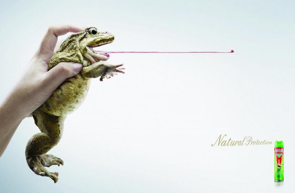 Advertisement Example of a Frog being an Insect repellant 